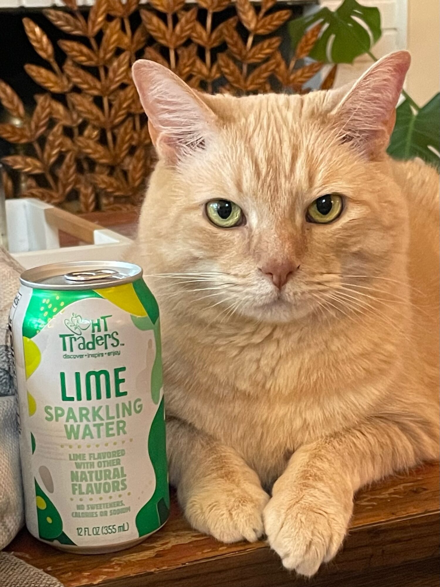 Werden Sie aktiv Common Cause Oregon